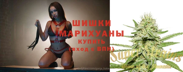 дурь Надым