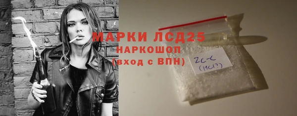 хмурый Бикин