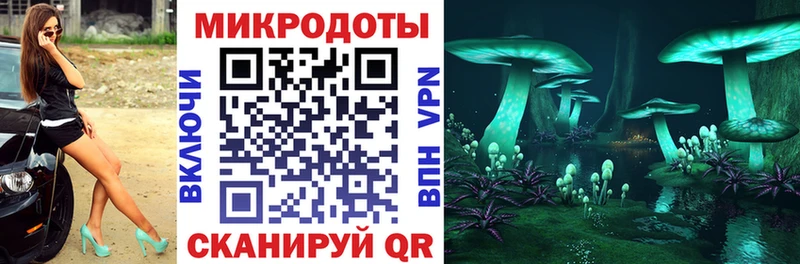 Галлюциногенные грибы Psilocybine cubensis  Тырныауз 