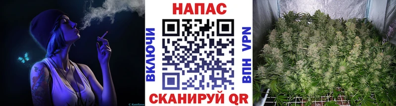 Каннабис Ganja  Тырныауз 